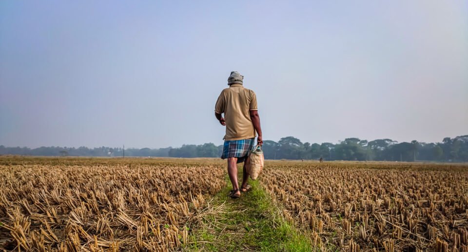 Saalavemba Suli – deep in debt