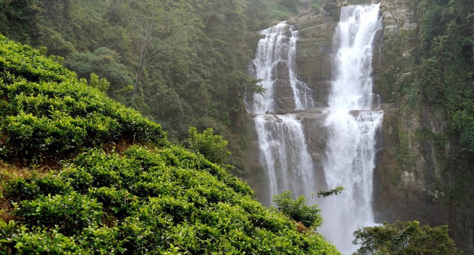 Of friends, waterfalls and a python: My trip to Thommankuthu